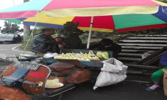 Penertiban pedagang di kawasan obyek wisata Penelokan